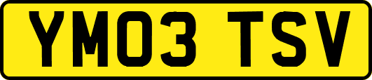 YM03TSV