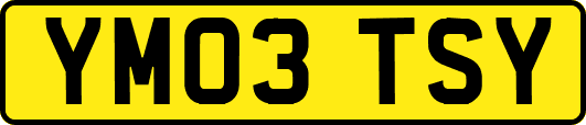 YM03TSY