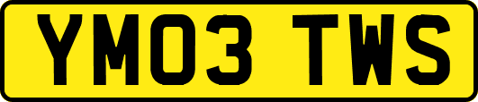 YM03TWS