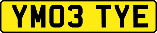 YM03TYE