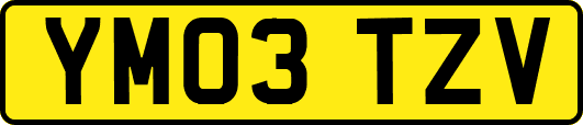 YM03TZV