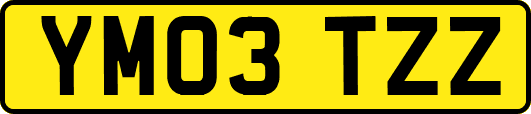 YM03TZZ