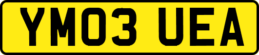 YM03UEA