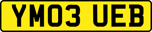 YM03UEB
