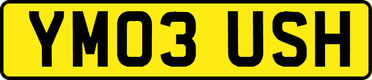 YM03USH