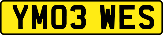 YM03WES