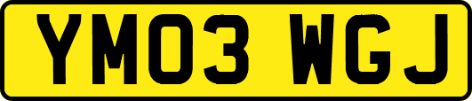 YM03WGJ
