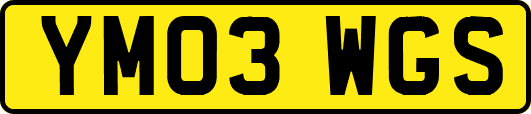 YM03WGS