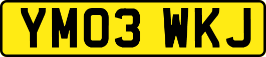 YM03WKJ