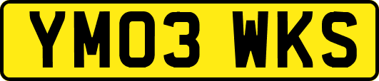 YM03WKS