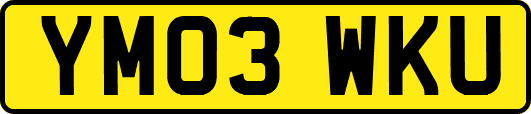 YM03WKU