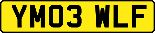 YM03WLF