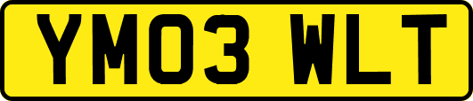YM03WLT