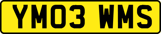YM03WMS