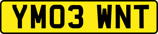 YM03WNT