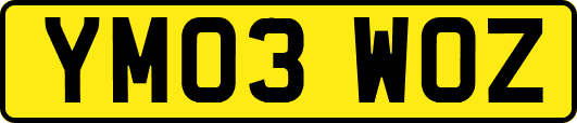 YM03WOZ