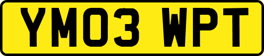 YM03WPT