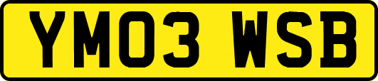 YM03WSB