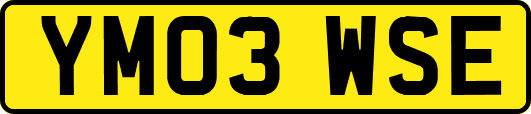YM03WSE