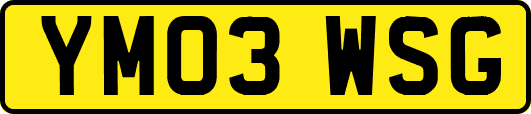 YM03WSG