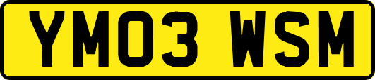 YM03WSM