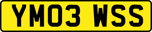 YM03WSS