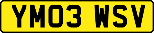 YM03WSV