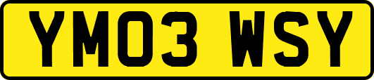 YM03WSY