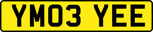 YM03YEE