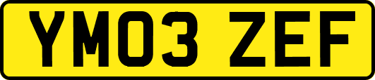 YM03ZEF