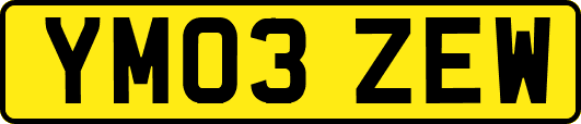 YM03ZEW