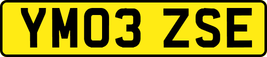 YM03ZSE