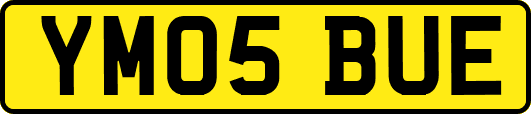 YM05BUE