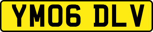 YM06DLV