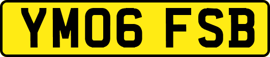 YM06FSB
