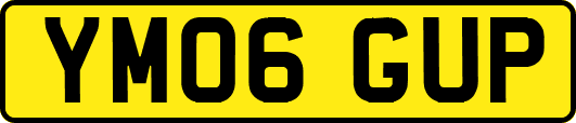 YM06GUP