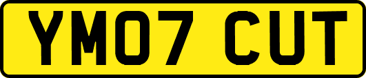 YM07CUT