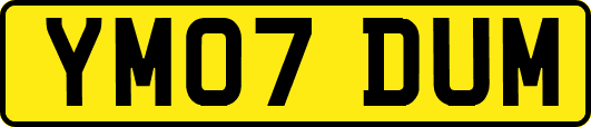 YM07DUM