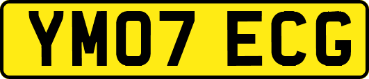 YM07ECG