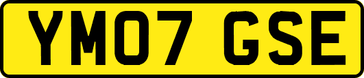 YM07GSE