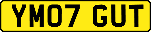 YM07GUT