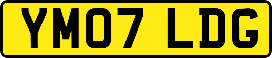 YM07LDG