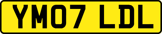 YM07LDL