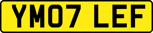 YM07LEF