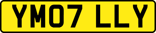 YM07LLY
