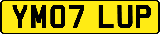 YM07LUP