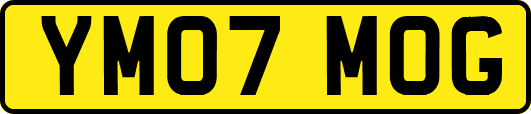 YM07MOG