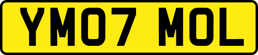 YM07MOL