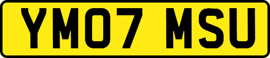 YM07MSU