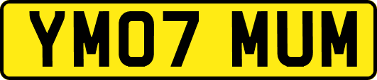 YM07MUM